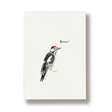 Bravo specht