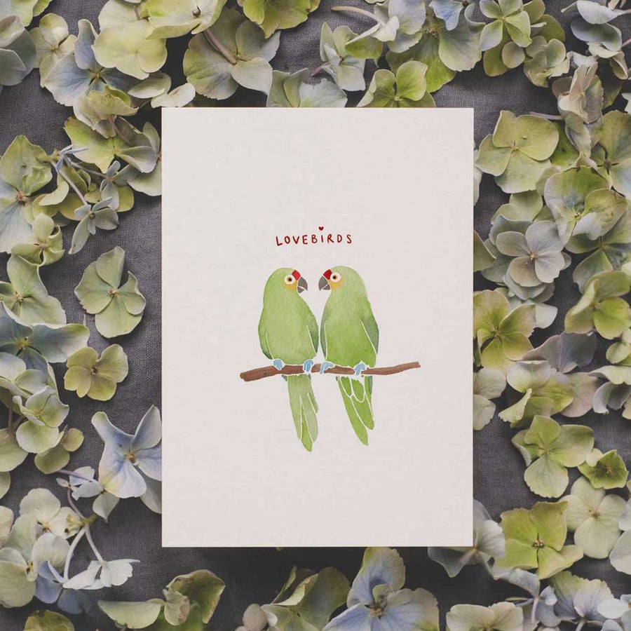 Lovebirds