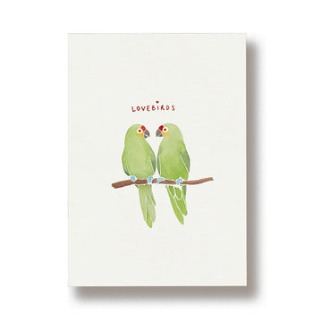 Lovebirds