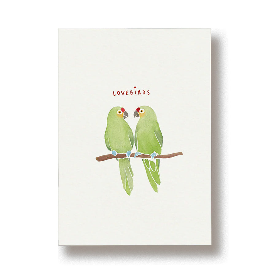 Lovebirds