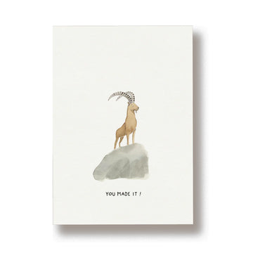 Steenbok - You made it!