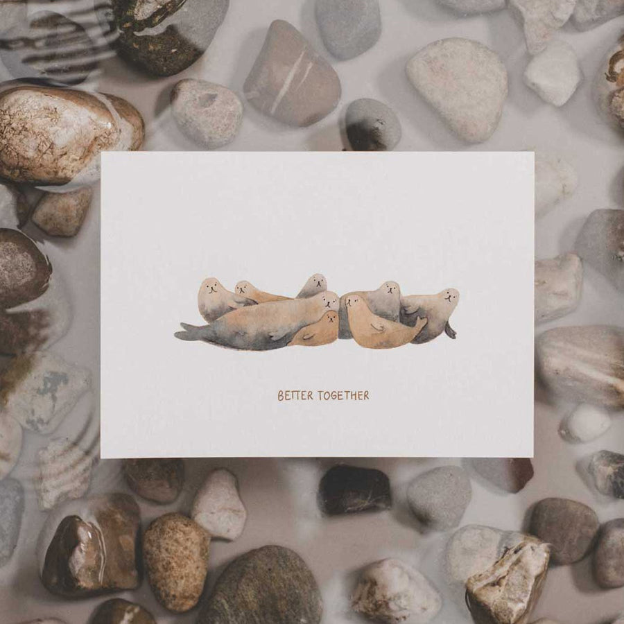 Zeehonden - Better together