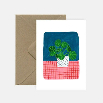 Pilea plant