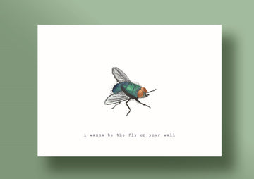 The fly on your wall